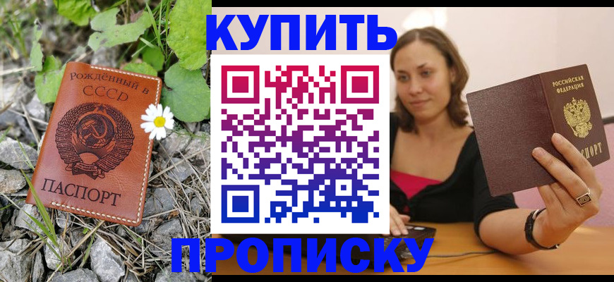 прописка поиск в Кеми